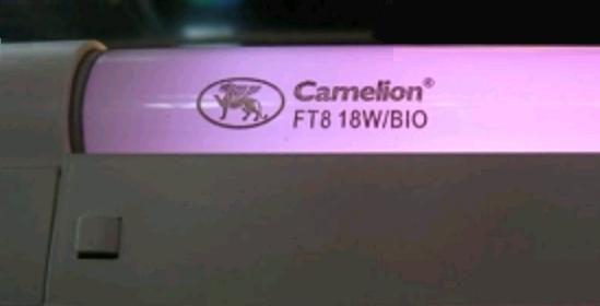 Фитолампа Camelion T8 G13 18W BIO 604х26 для растений и рассады
